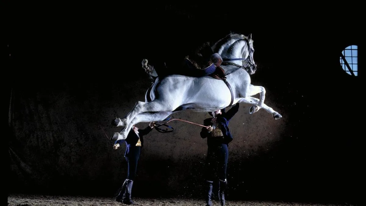 A grey horse leaping clear of the sand with its rider, two handlers in traditional dress beneath it in a darkened arena