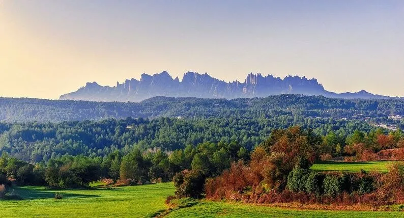 The jagged ridge of Montserrat on the horizon above dark pine woods and green fields, under a pale, hazy sky