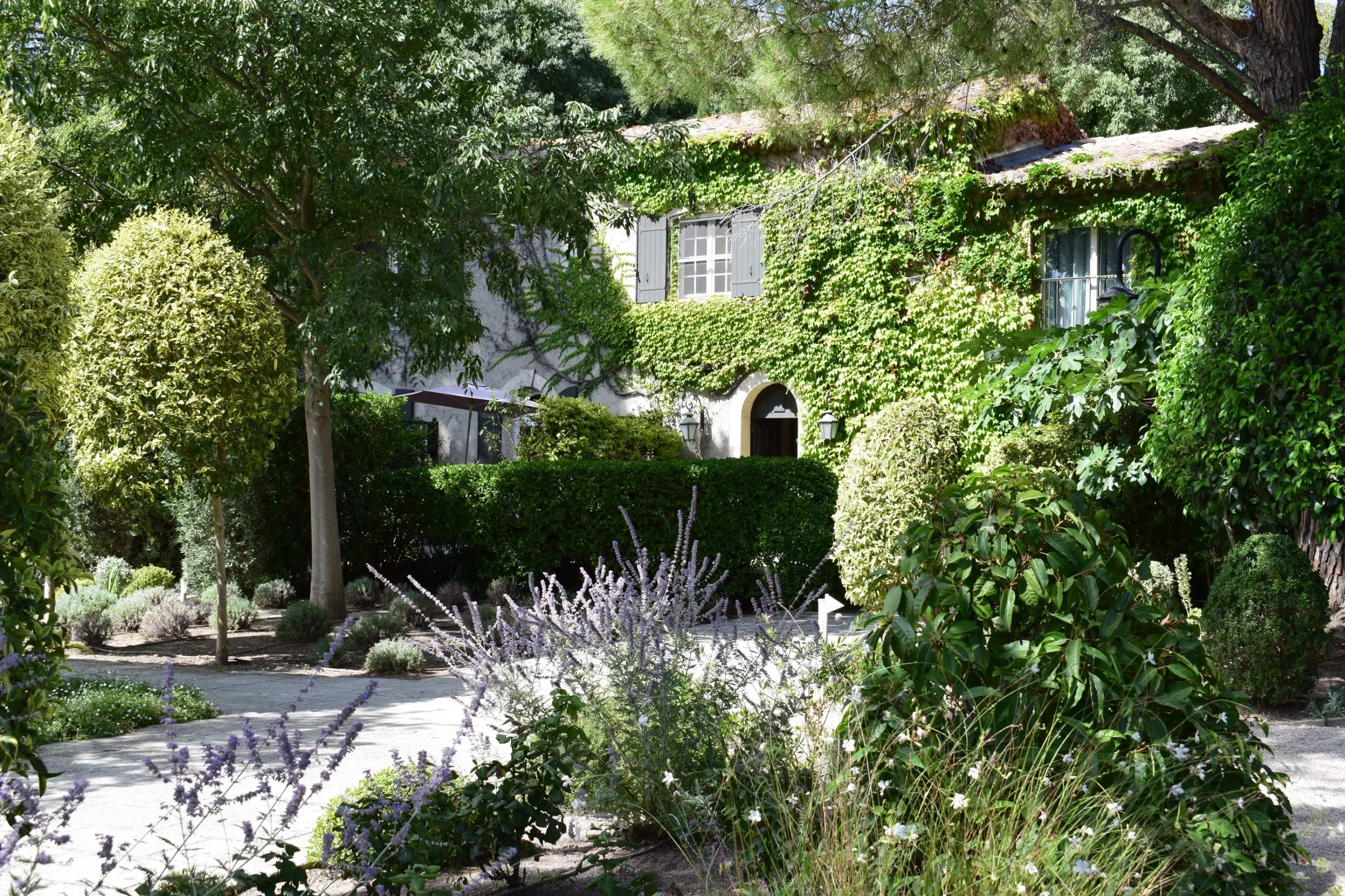 Flora, one of the estate's five houses: a two-storey pale-walled house with a tiled roof almost entirely clothed in Virginia creeper, grey shutters, an arched doorway with a lantern either side, clipped hedges and a young tree in front, lavender-blue perovskia