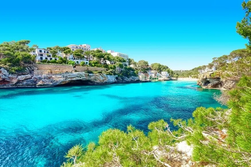 A long inlet of bright turquoise water between low rocky shores, white houses among pines on the left and a pine branch in the foreground