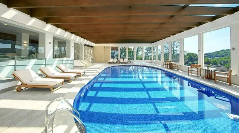 The indoor pool, a long blue-tiled rectangle under a timber ceiling with skylights, wooden loungers along one side and glass walls onto the trees