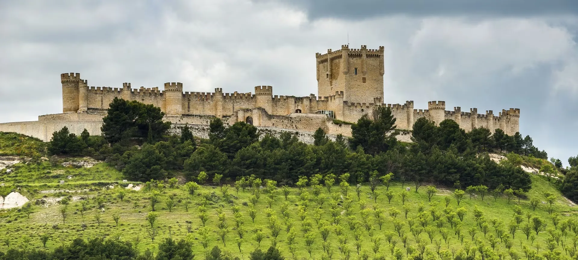 Peñafiel Castle along the crest of its hill: long crenellated walls with round turrets and the tall square keep at the centre, pines and rows of young trees on the green slope below a cloudy sky