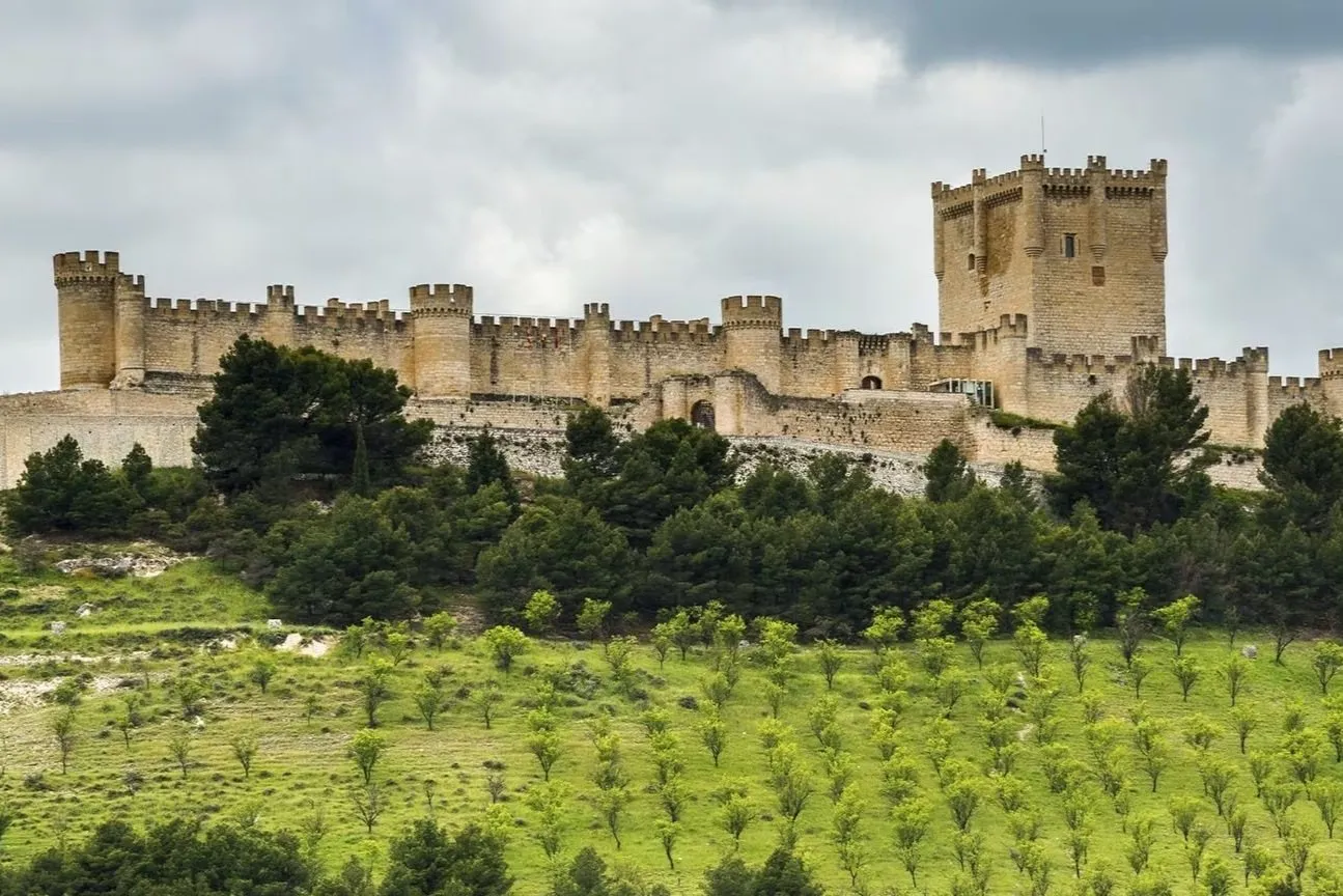 Peñafiel Castle along the crest of its hill: long crenellated walls with round turrets and a tall square keep, pines below and a green slope planted in rows, under a grey cloudy sky