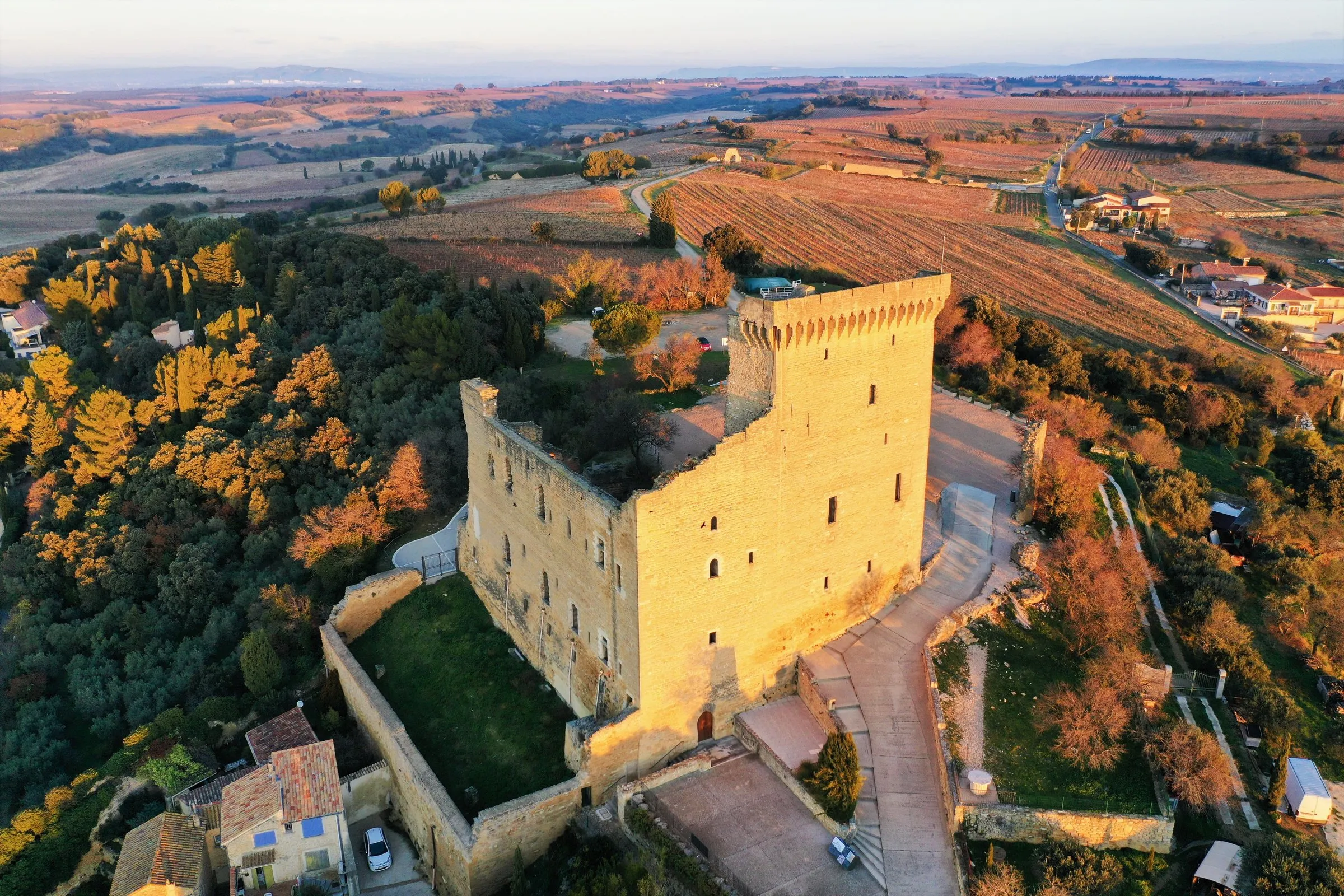 Châteauneuf-du-Pape from the air: the ruined keep of the papal castle on its rise above the village's roofs, with autumn vineyards in rows all around