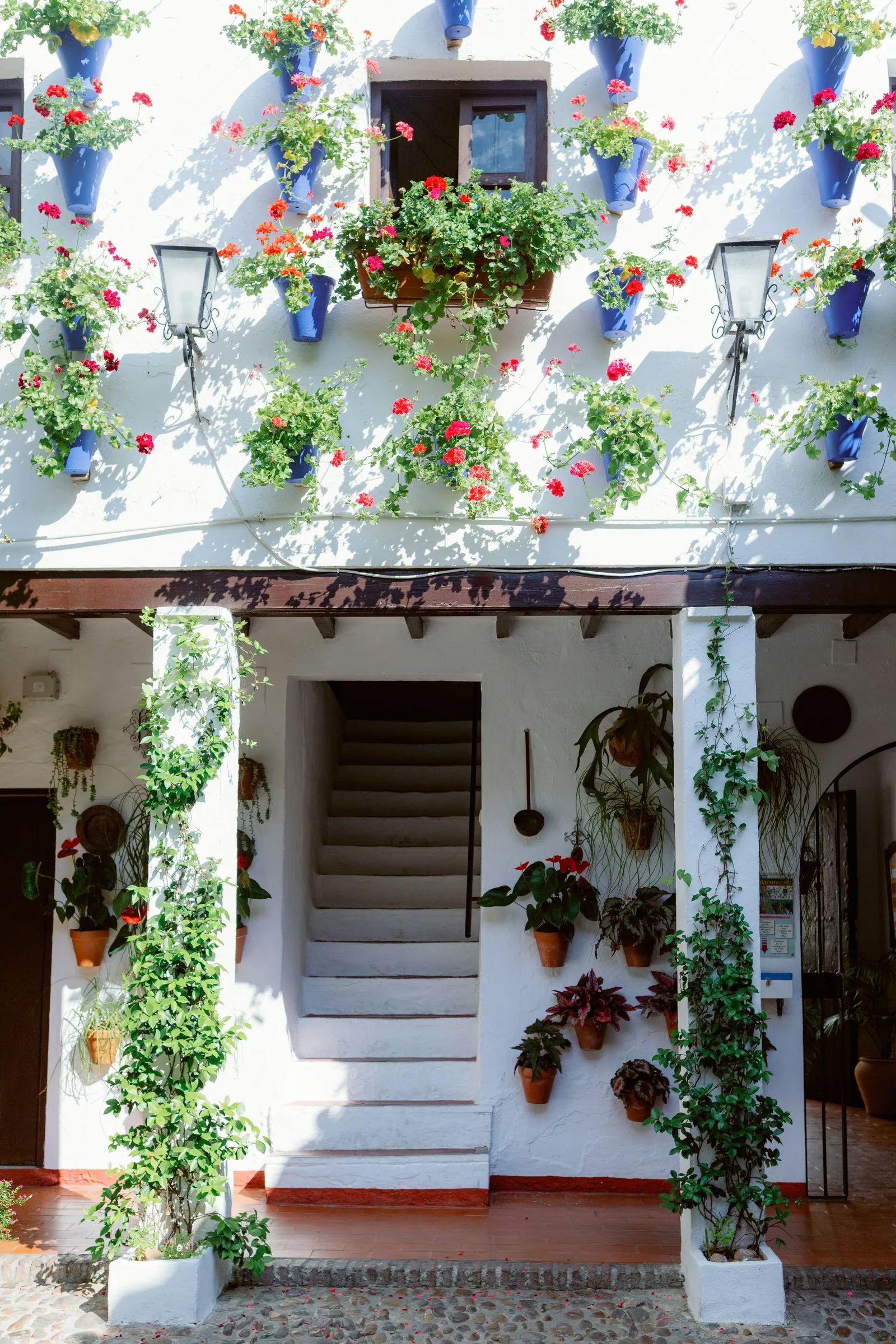 A Córdoba patio: a whitewashed wall hung with blue pots of red and pink geraniums around a window and two lanterns, and below it a white stair between pillars wound with climbing plants