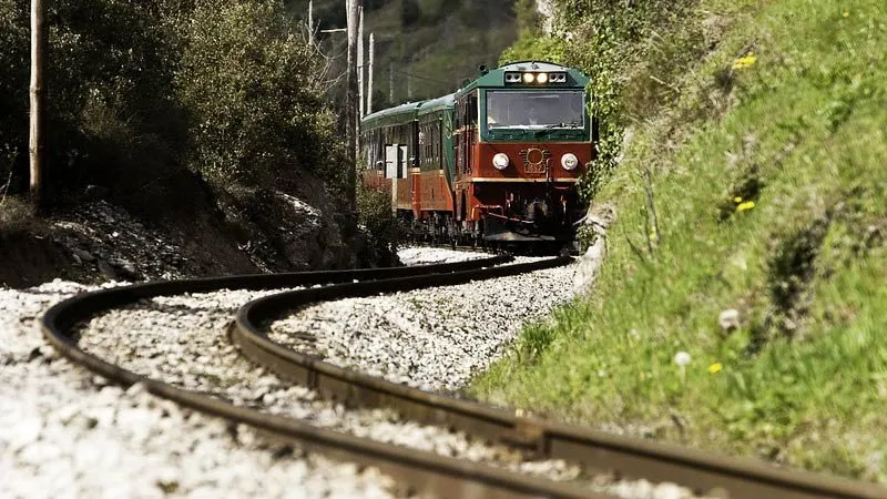 A short green and red train coming round a curve of narrow track on a stony bed, a grassy bank with yellow flowers on the right and trees behind