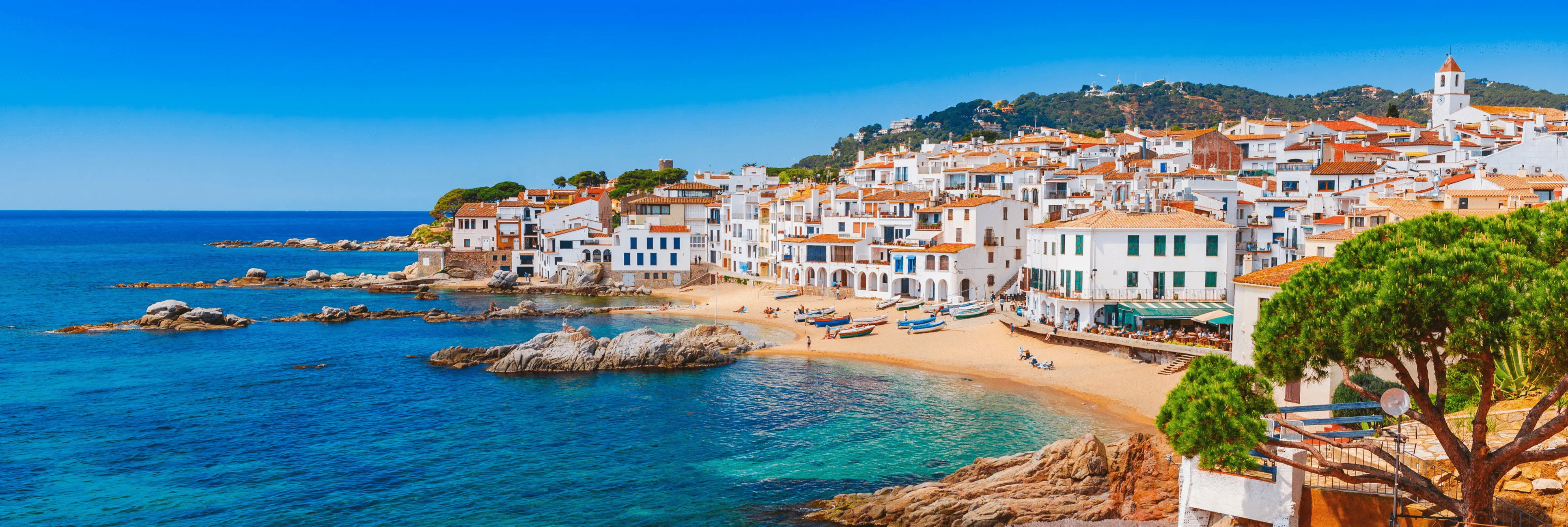 A white fishing village on the Costa Brava curving round a small sandy beach lined with boats, rocks in a clear blue sea, a church tower and wooded hills above, an umbrella pine in the foreground