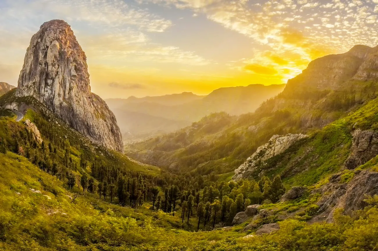 Roque de Agando, a sheer pillar of pale volcanic rock, above a valley of pines and green scrub in golden evening light, with hazy ridges beyond