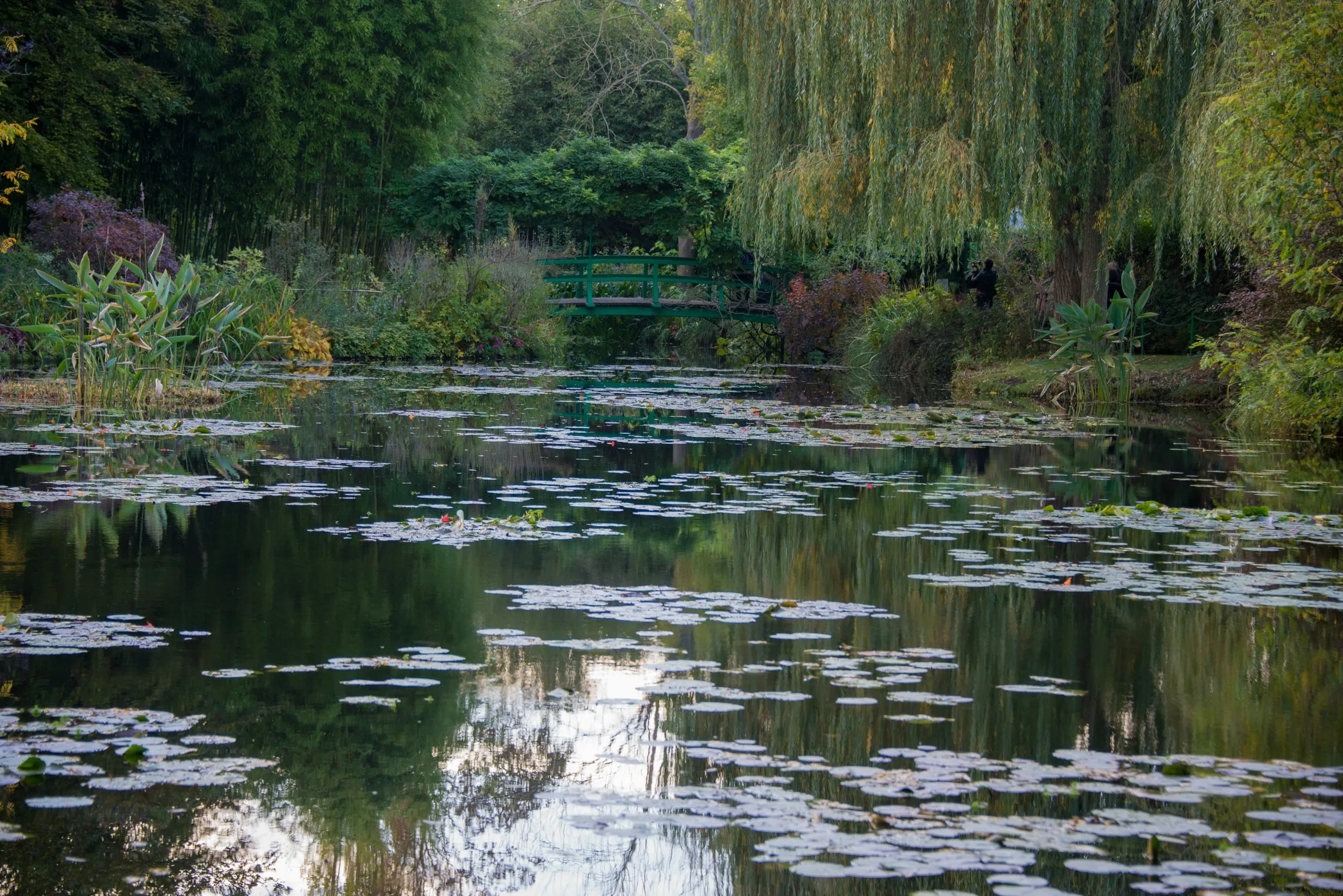 Monet's water garden at Giverny: the green Japanese bridge among willows and bamboo at the far end of a still pond scattered with lily pads, the trees reflected in the water