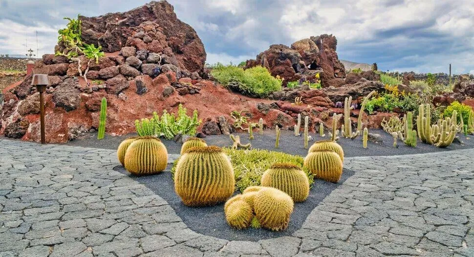 The Jardín de Cactus: golden barrel cacti on black volcanic gravel below a rockery of red lava