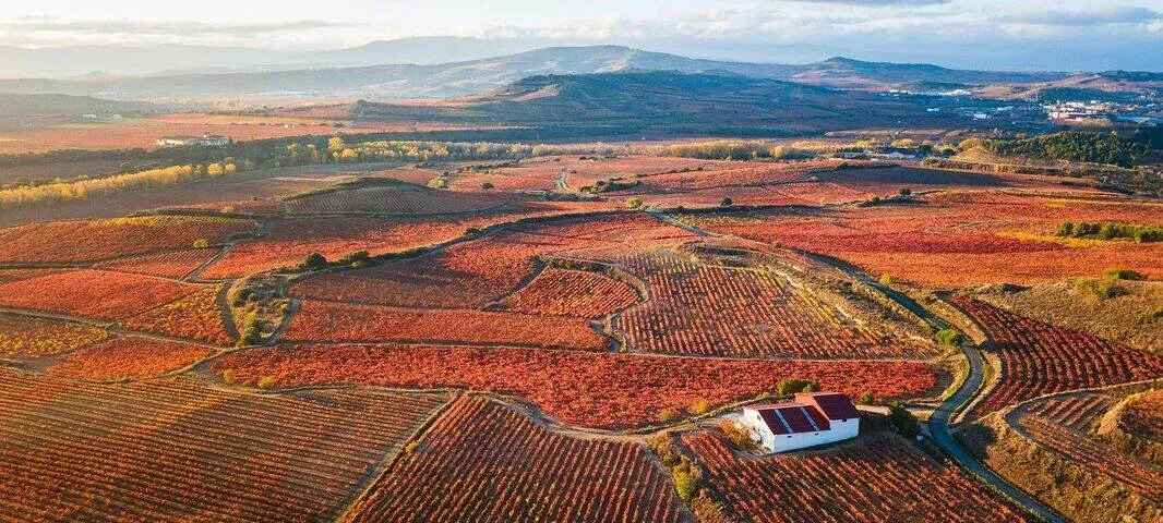 Vineyards in autumn seen from the air, rows of vines turned red and orange across rolling ground, a white farmhouse with a red roof among them and hills beyond