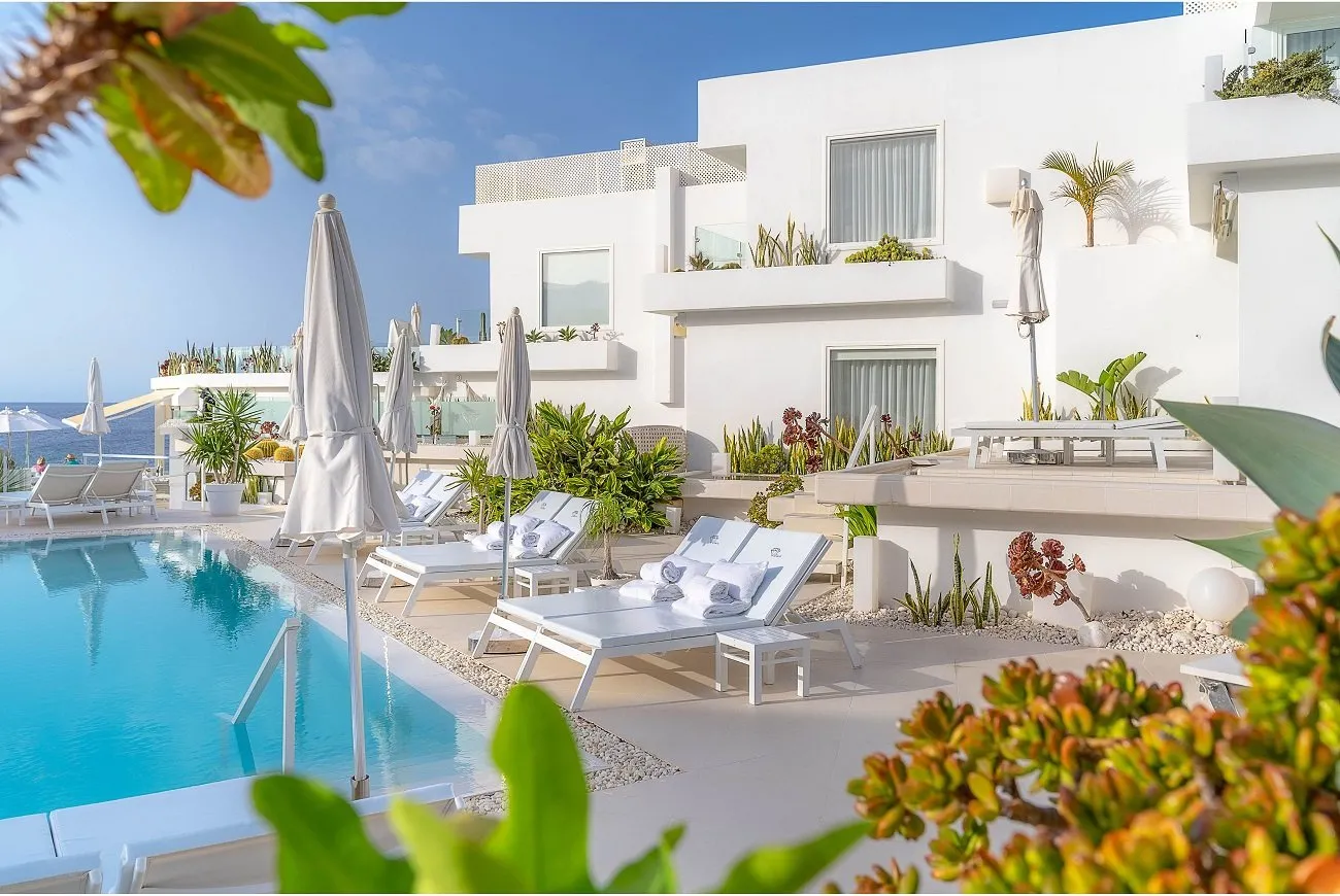 The pool terrace: white sun loungers with rolled towels along a blue pool, succulents and palms against the white suite blocks, the sea beyond