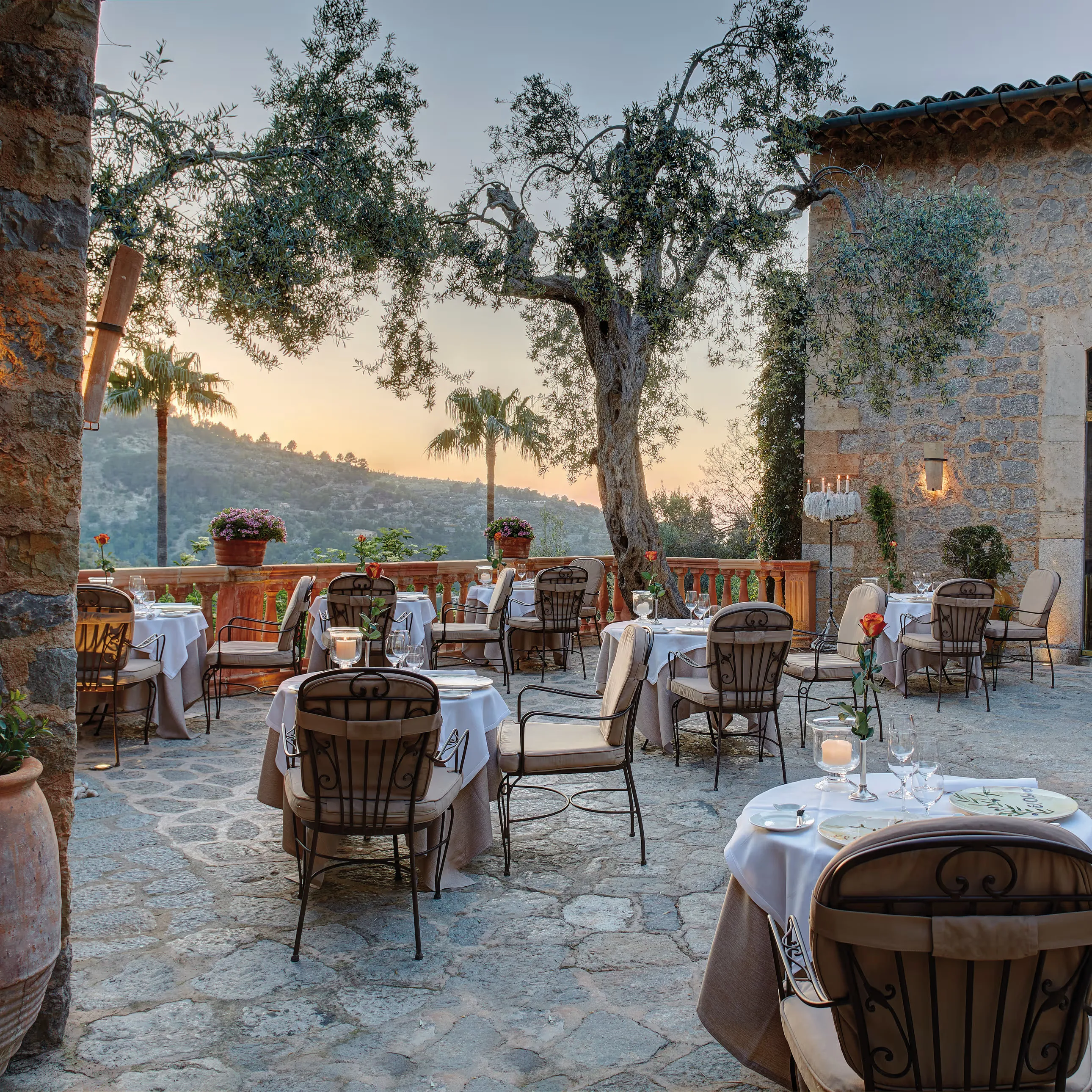A stone terrace laid for dinner at dusk under a large old olive tree, with wrought-iron chairs, white cloths, candles and roses, and the hills beyond a balustrade