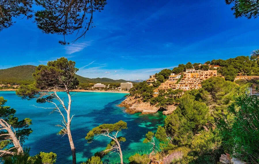 A cove of clear turquoise water seen through pines, rocky shores and low hotels around a sandy beach at its head, wooded hills beyond
