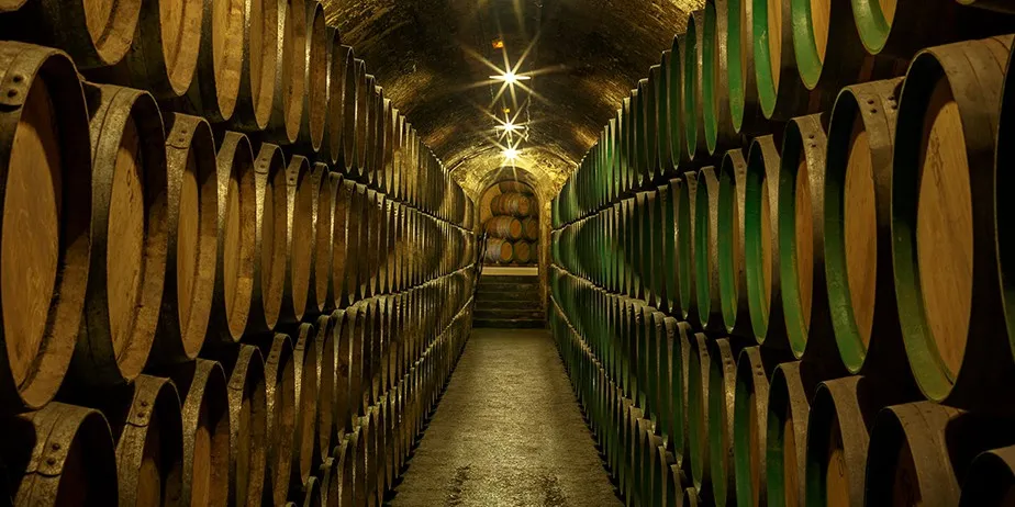 A long vaulted cellar lined on both sides with oak barrels stacked several high, some with green-painted ends, lamps along the ceiling and steps at the far end