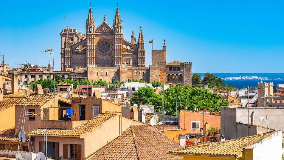 La Seu rising above Palma's tiled rooftops on a clear day, its rose window and pinnacles in the sun, a crenellated tower beside it and the bay beyond