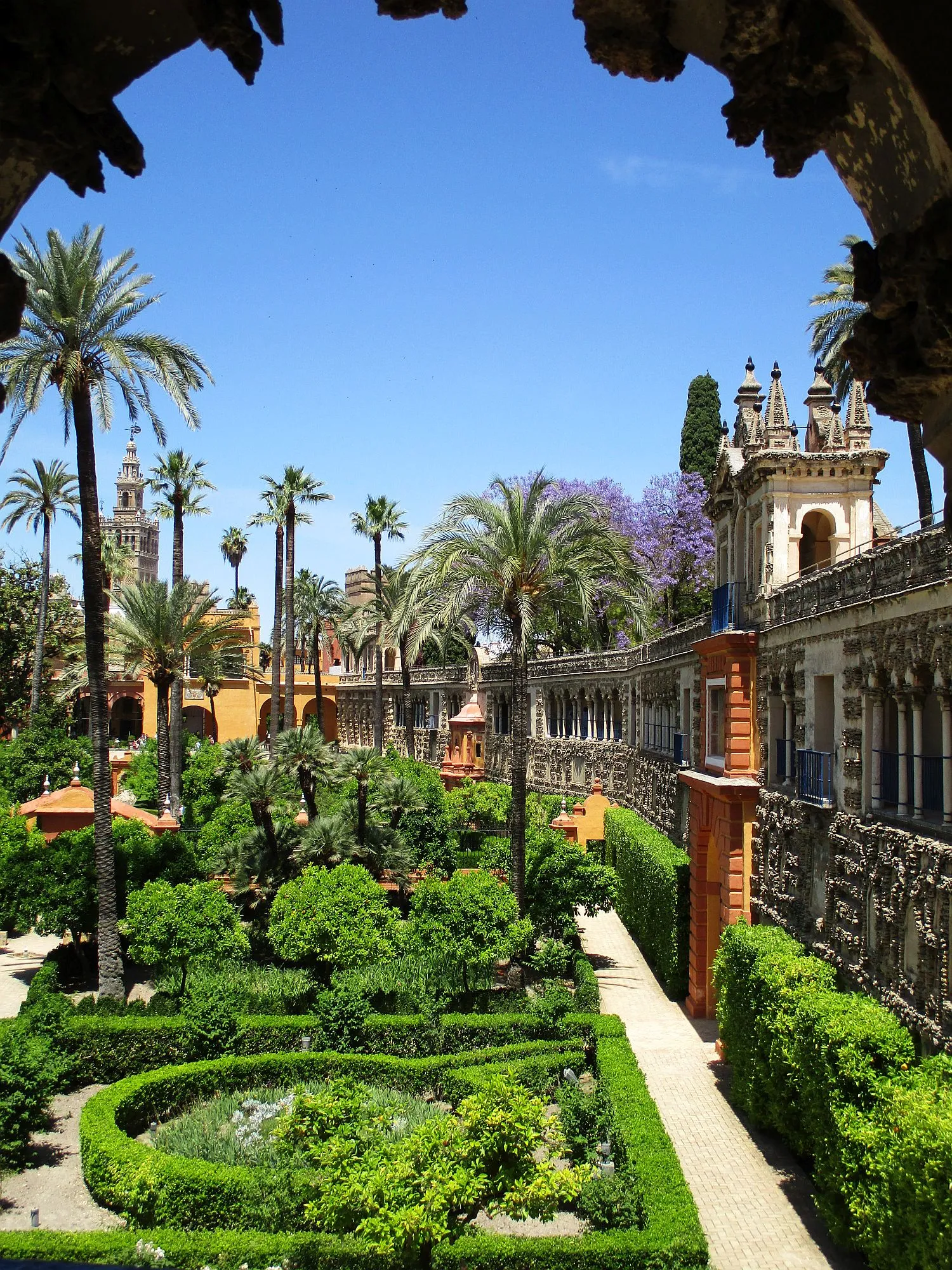 The Real Alcázar's gardens seen through a carved stone arch: box-hedged parterres and palms, a jacaranda in purple flower, a rusticated gallery with ornate pavilions on the right and the Giralda on the skyline under a deep blue sky