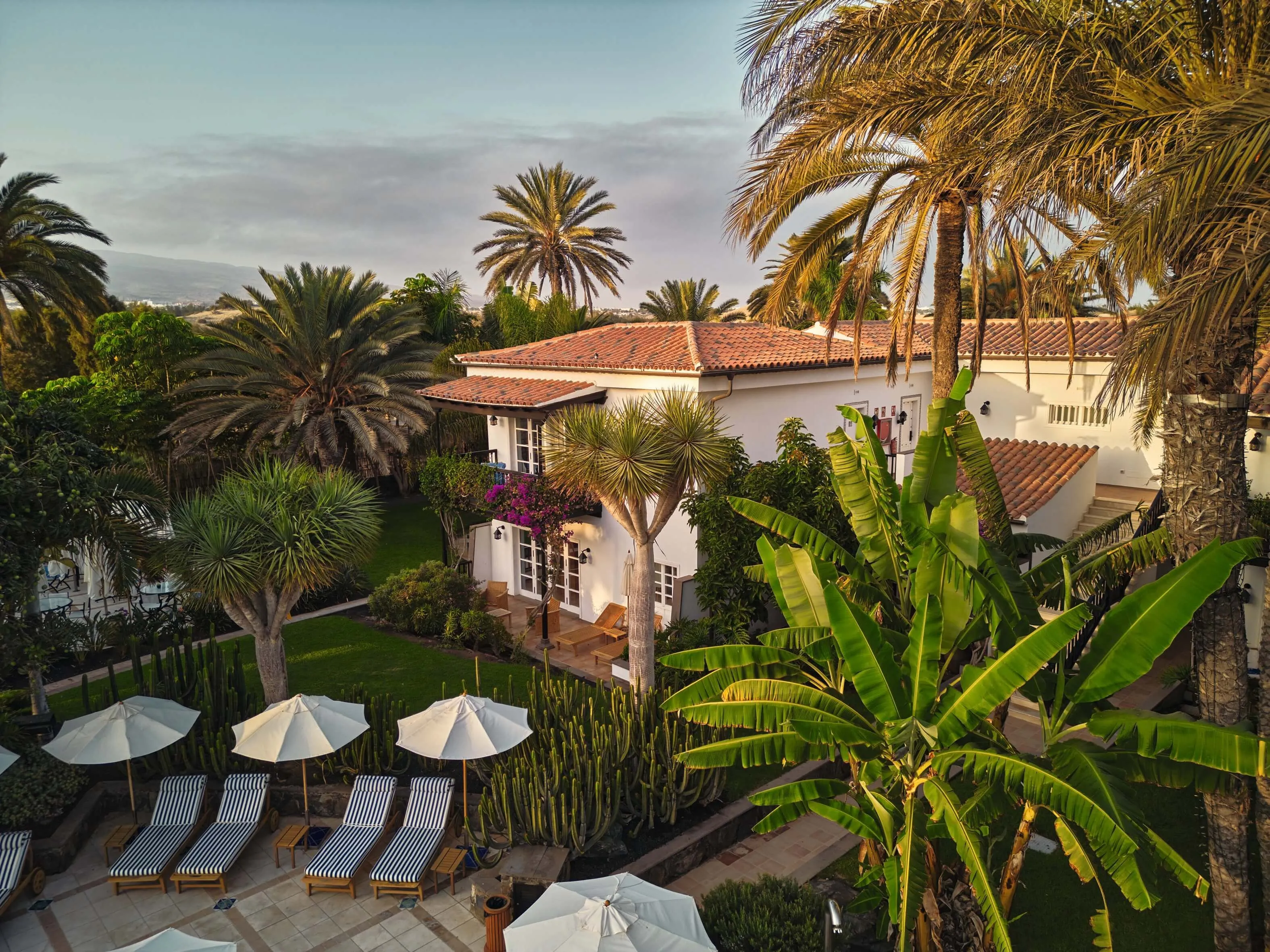 A white two-storey villa with a terracotta roof and wooden shutters among tall palms, dragon trees, a banana plant and columns of cactus, bougainvillea on its balcony, striped sun-loungers under white parasols on a terrace below, hills on the horizon