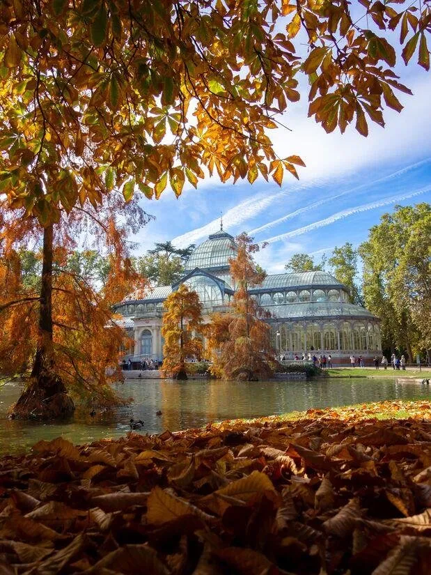 The Palacio de Cristal in the Retiro, a glass and iron pavilion on the edge of a lake, framed by trees in autumn colour, with fallen leaves heaped in the foreground