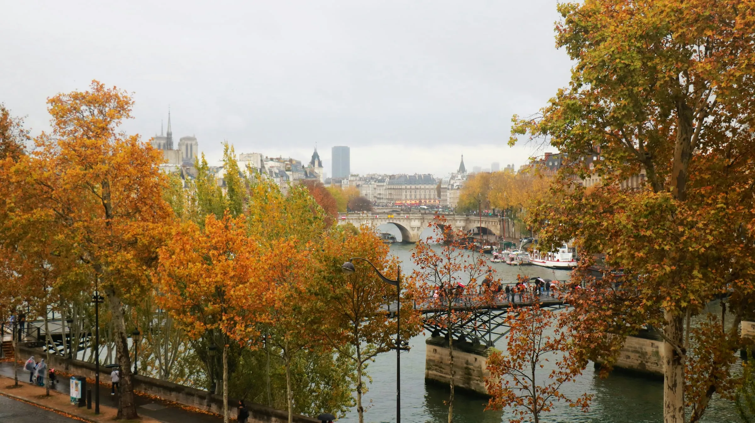 The Seine in autumn from the Right Bank: plane trees in orange and gold along the quay, the Pont des Arts and the Pont Neuf beyond it, the Île de la Cité and the spire of Notre-Dame under a grey sky