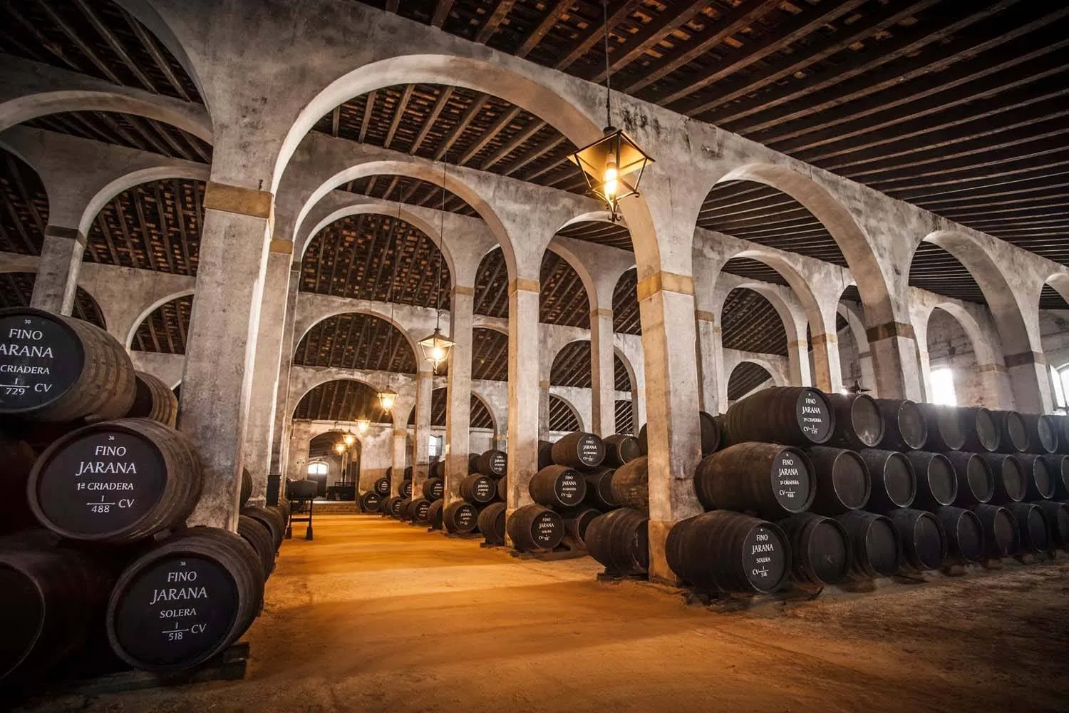 Rows of sherry casks marked Fino Jarana stacked beneath the whitewashed arches of a bodega, lit by hanging lanterns
