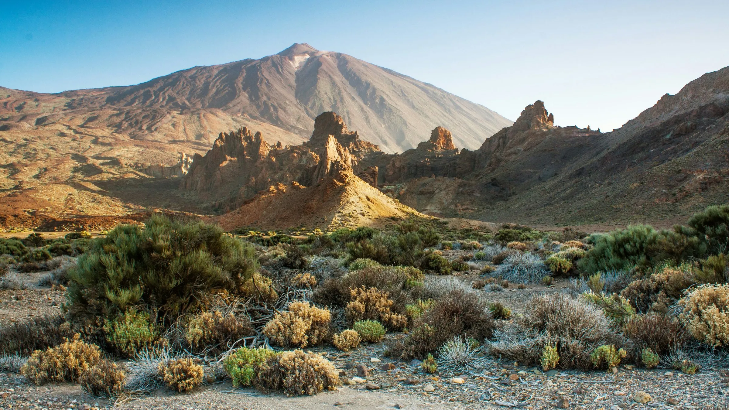 Mount Teide rises in early light behind the eroded rock spires of the Roques de García, with low volcanic scrub across the floor of Las Cañadas in the foreground