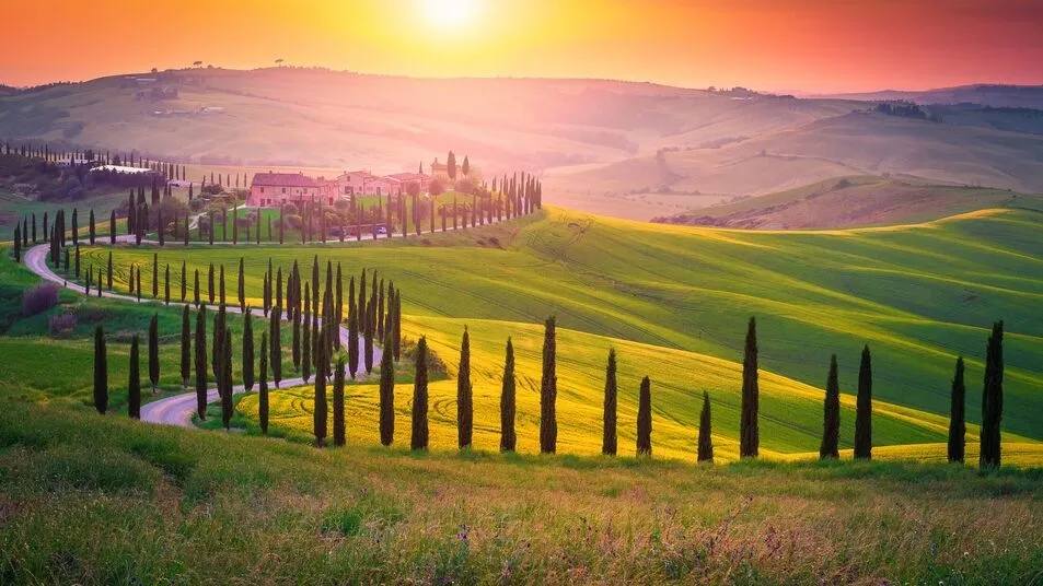 Cypresses lining a winding white road up through green hills to a farmhouse on a ridge, the low sun turning the sky orange behind